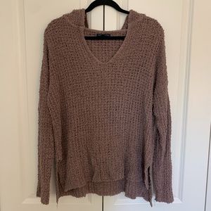American Eagle Hooded Sweater